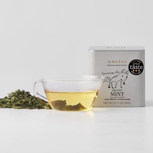 Organic Mint - AigaionSpice